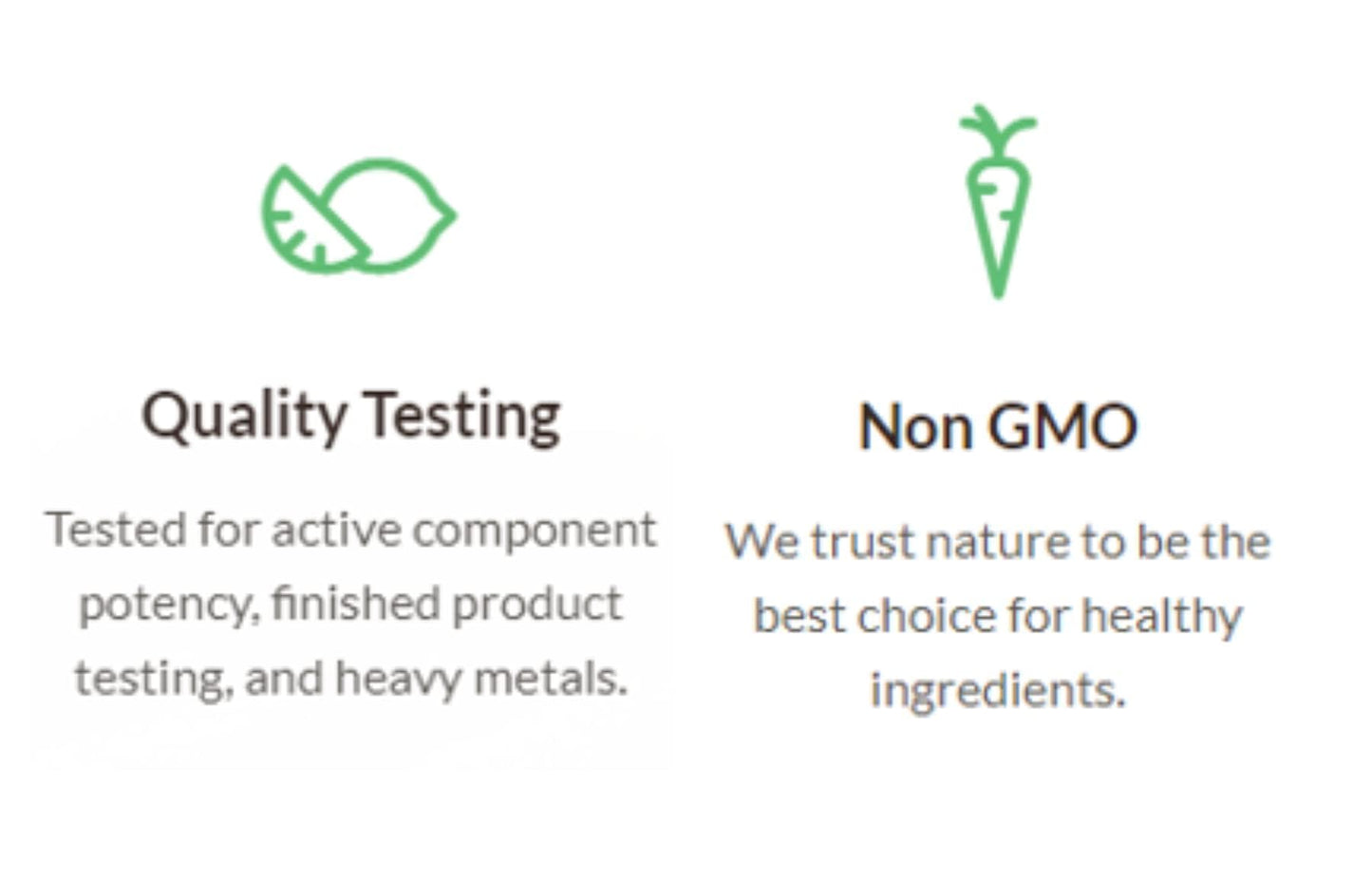 Alora Naturals Alpha GPC 600mg | High-Potency Choline Supplement for Brain Health, Focus & Memory | Acetylcholine Nootropic for Cognitive Support | Vegan, Non-GMO | 60 Capsules