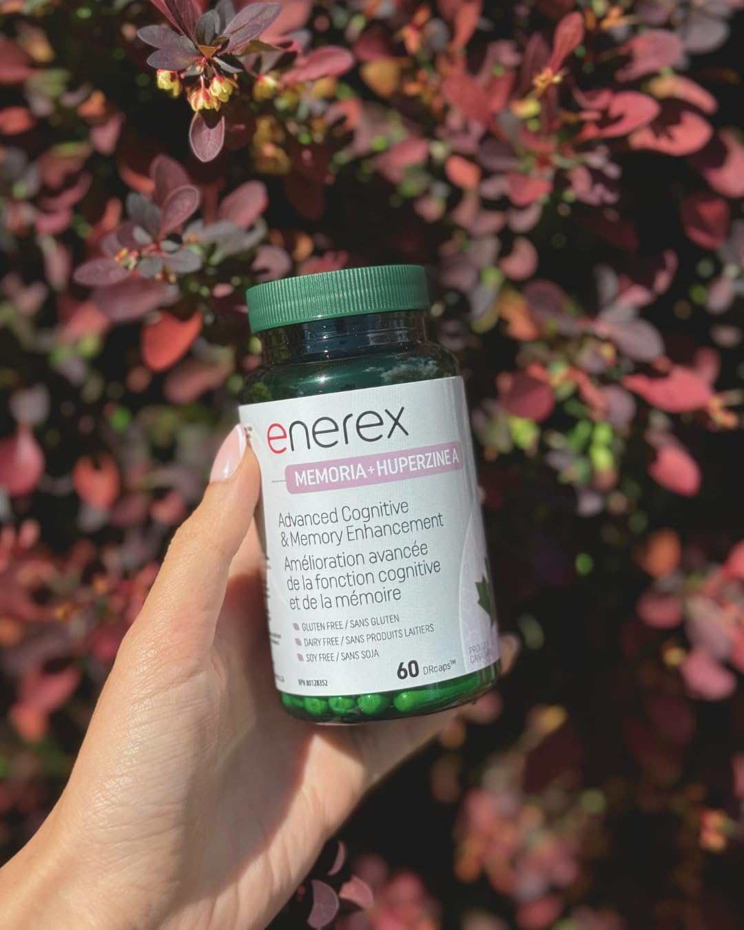 Enerex Memoria with Huperzine A - Advanced Cognitive & Memory Enhancement, 60 DRcaps