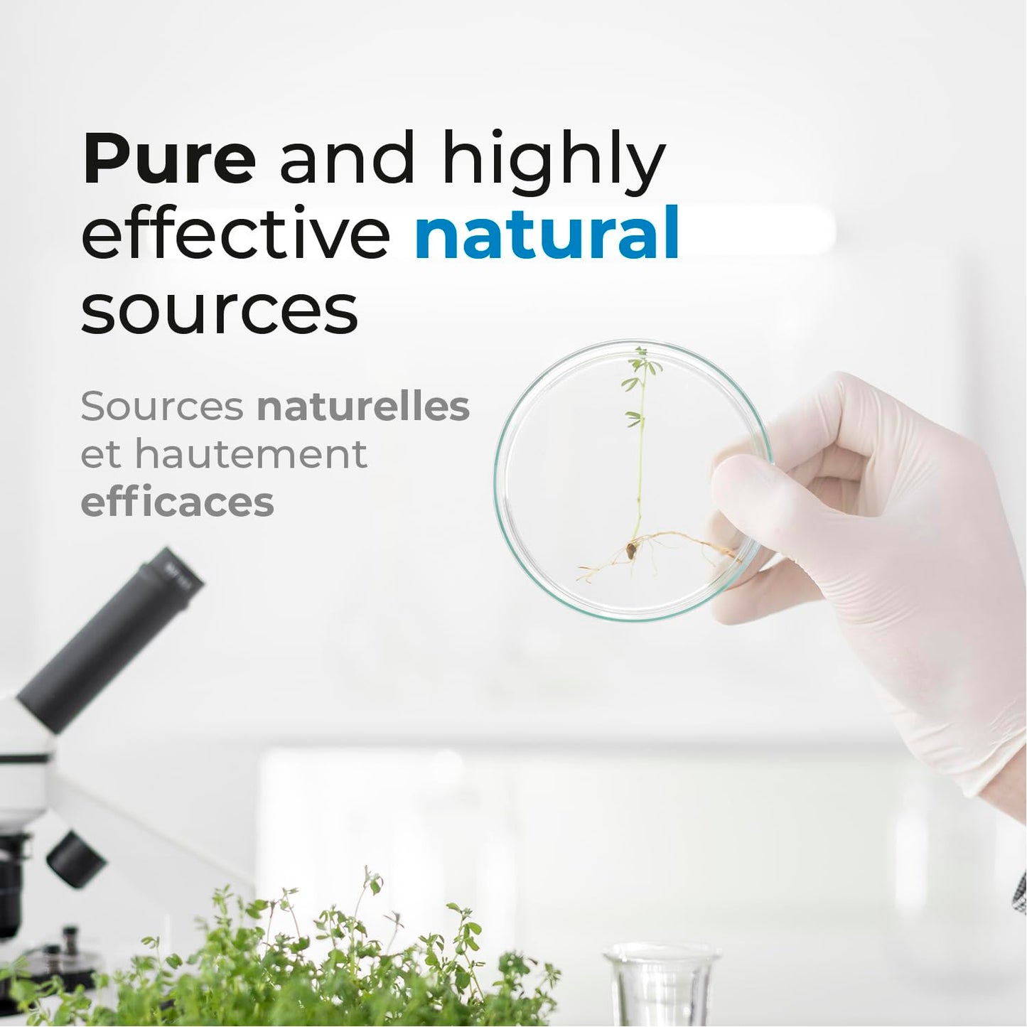 Vitamin B6 100 mg - 60 Capsules B6 Pyridoxin - Supports Energy Production & Metabolism - 2 Months supply Vitamin B6 supplement Made in Canada, Non-GMO, Vegan