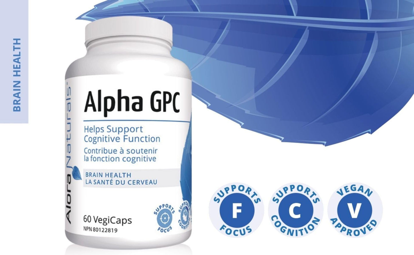 Alora Naturals Alpha GPC 600mg | High-Potency Choline Supplement for Brain Health, Focus & Memory | Acetylcholine Nootropic for Cognitive Support | Vegan, Non-GMO | 60 Capsules