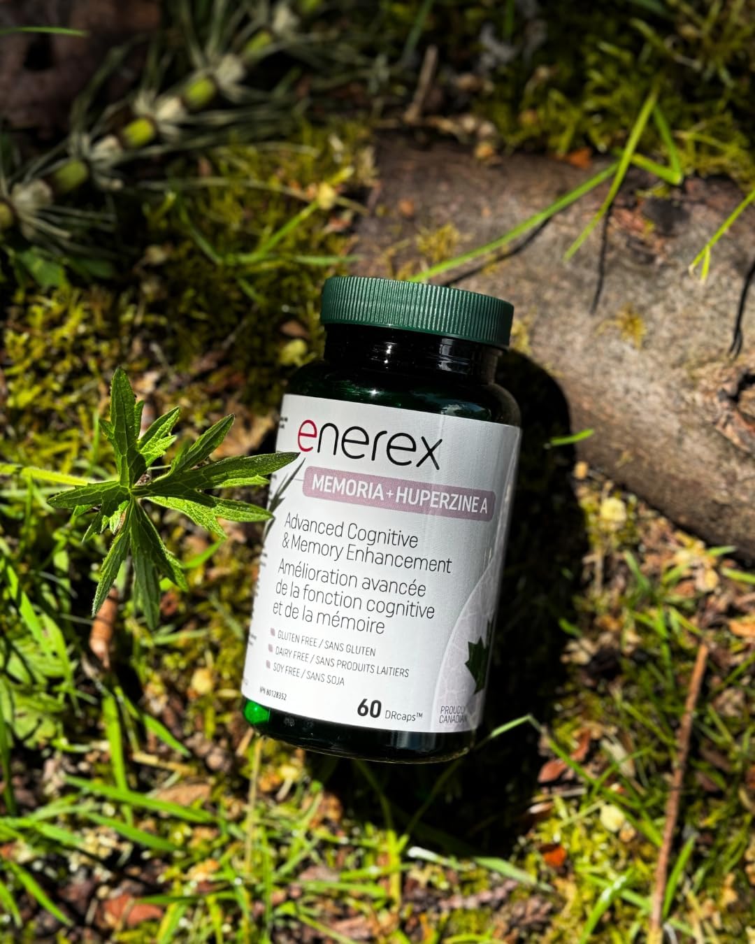 Enerex Memoria with Huperzine A - Advanced Cognitive & Memory Enhancement, 60 DRcaps