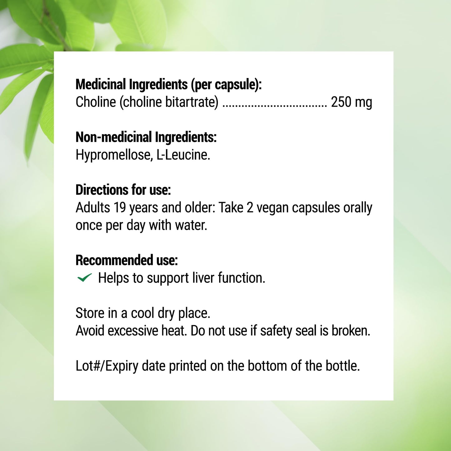Lucid Gateway Recommends : Nested Naturals Choline Bitartrate 500mg Per 2 Capsules | High Potency Choline Supplements | Supports Cognitive & Liver Function | 100% Vegan & Non-GMO Choline | 90 Vegan Capsules