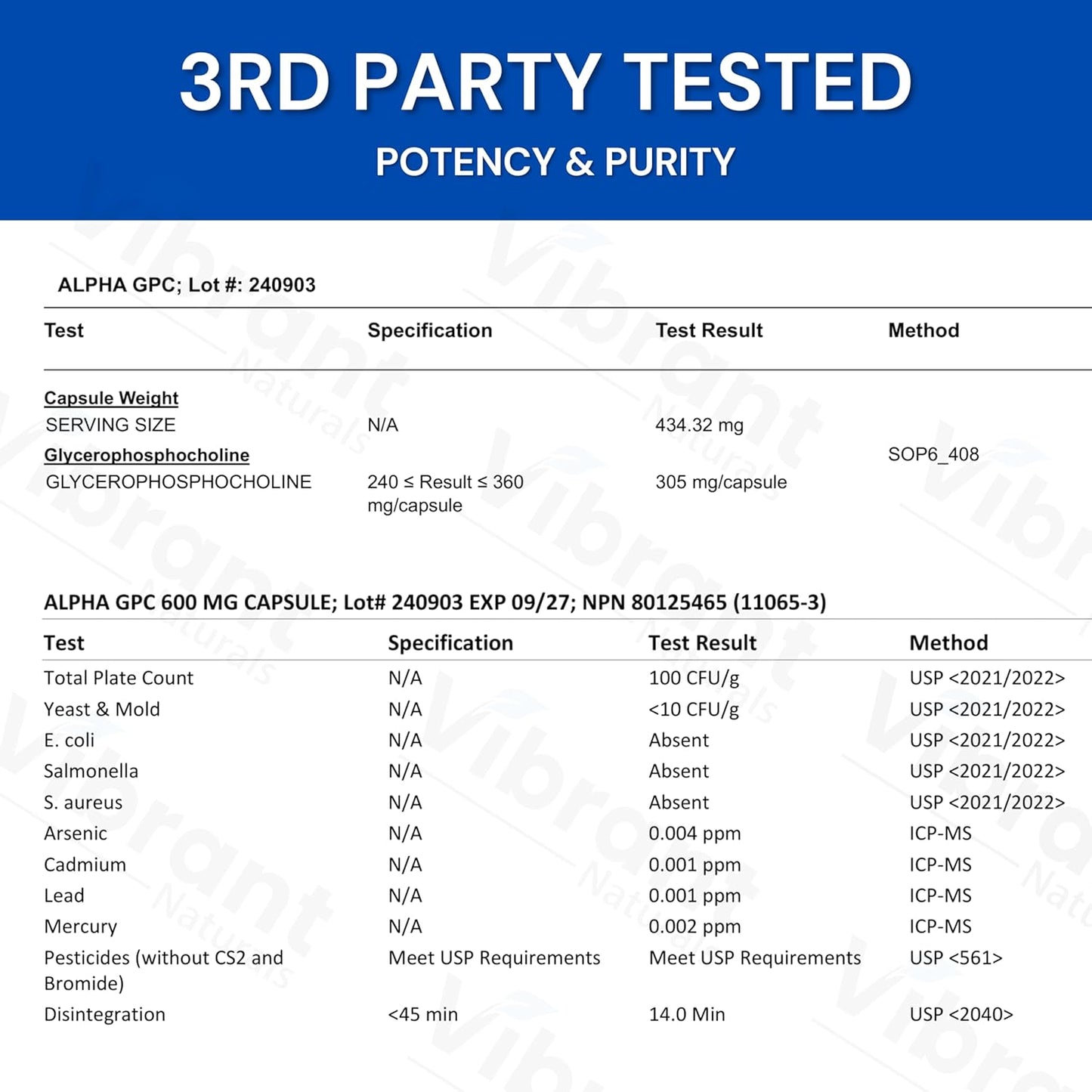 Lucid Gateway Recommends : Alpha GPC 99% Choline Brain Supplement for Acetylcholine, Supports Cognitive Health, Non-GMO, Gluten Free, 90 Vegetarian Capsules, Made In Canada by Vibrant Naturals