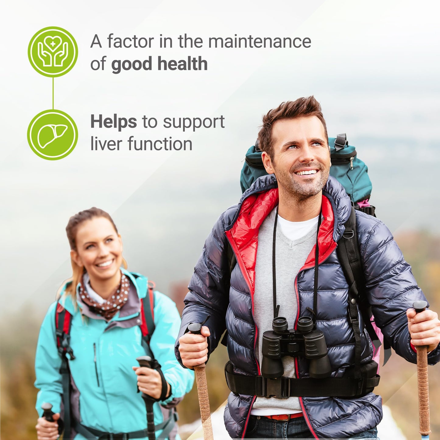 Lucid Gateway Recommends : Nested Naturals Choline Bitartrate 500mg Per 2 Capsules | High Potency Choline Supplements | Supports Cognitive & Liver Function | 100% Vegan & Non-GMO Choline | 90 Vegan Capsules